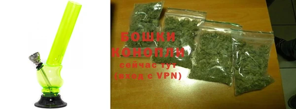 спиды Богородицк