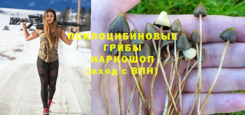 Галлюциногенные грибы MAGIC MUSHROOMS  купить  цена  мега зеркало  Ялуторовск 